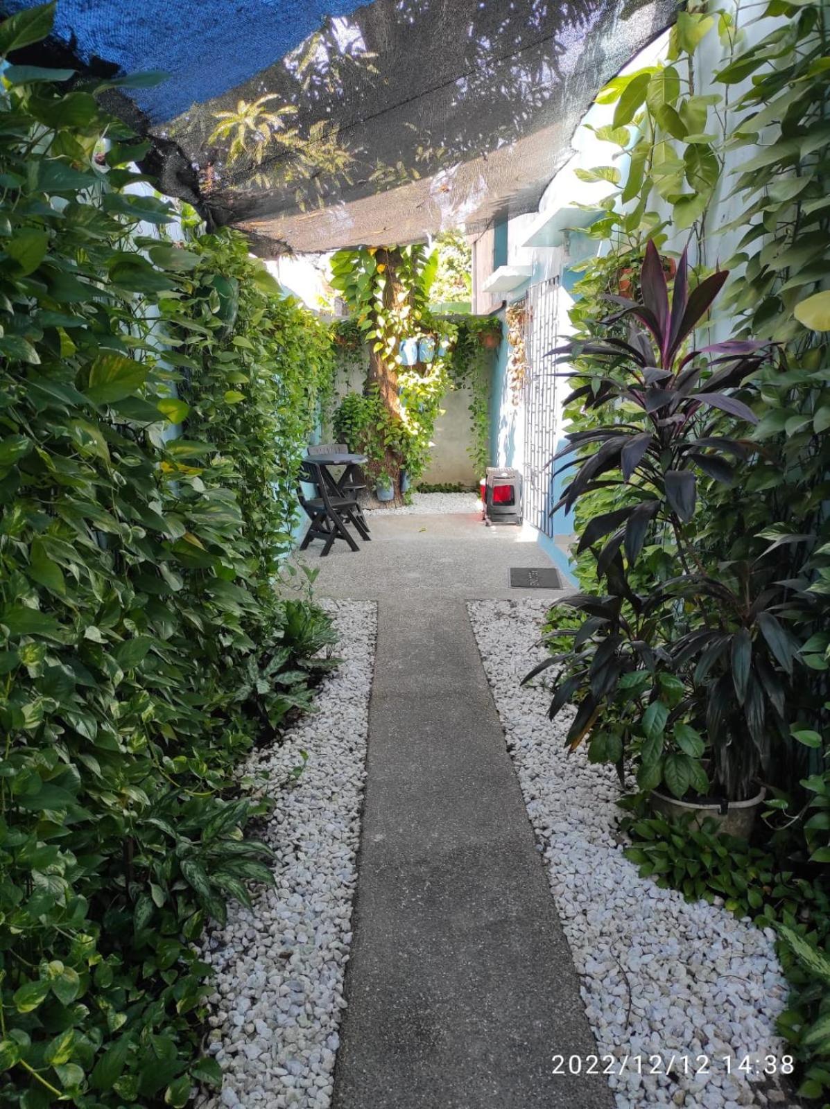 La Casa Azul Apartment Cartagena Bagian luar foto